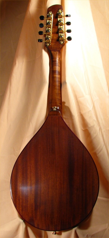 laughlin mandolin